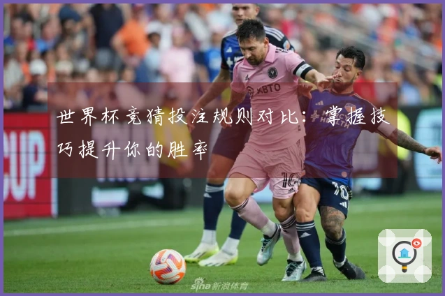 世界杯竞猜投注规则对比：掌握技巧提升你的胜率