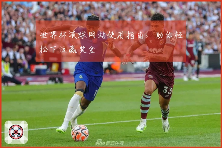 世界杯滚球网站使用指南，助你轻松下注赢奖金