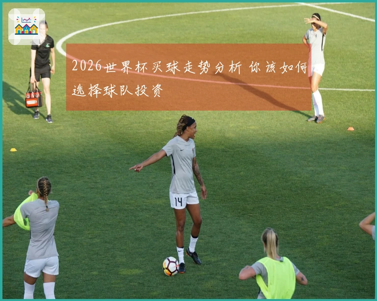 2026世界杯买球走势分析 你该如何选择球队投资