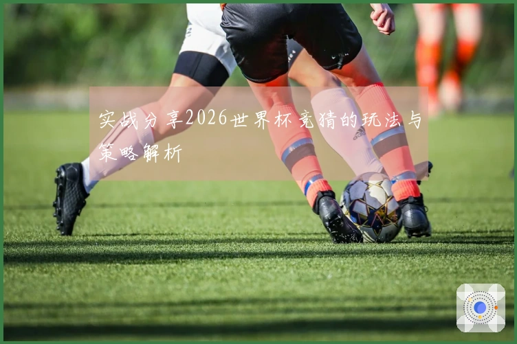实战分享2026世界杯竞猜的玩法与策略解析