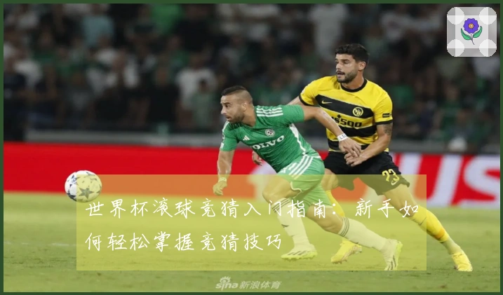 世界杯滚球竞猜入门指南：新手如何轻松掌握竞猜技巧