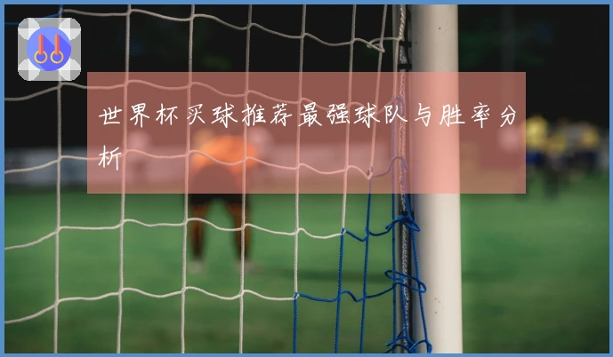 世界杯买球推荐最强球队与胜率分析