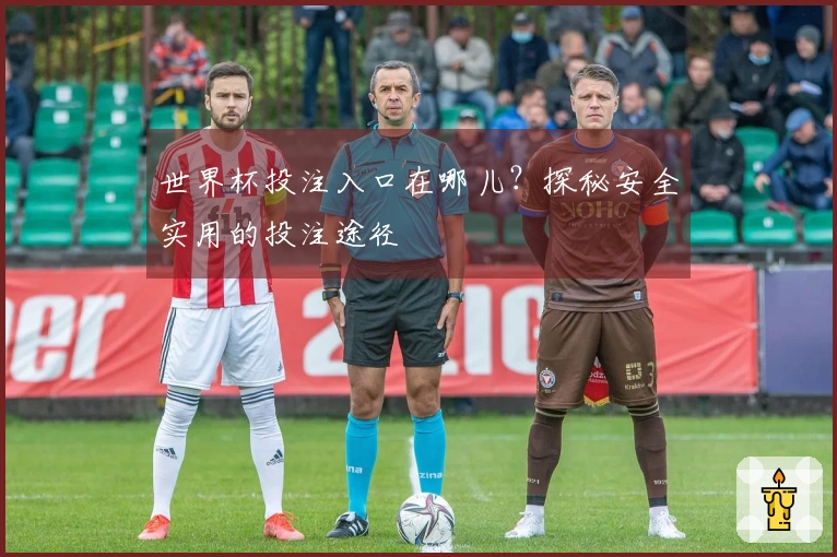 世界杯投注入口在哪儿?探秘安全实用的投注途径