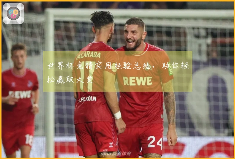 世界杯竞猜实用经验总结，助你轻松赢取大奖