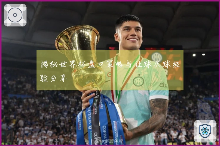 揭秘世界杯盘口策略与让球买球经验分享