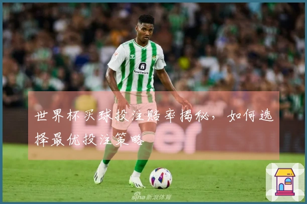 世界杯买球投注赔率揭秘，如何选择最优投注策略