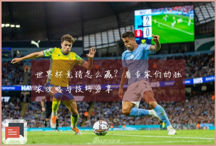 世界杯竞猜怎么赢？看专家们的独家攻略与技巧分享