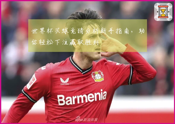 世界杯买球竞猜分析新手指南,助你轻松下注赢取胜利