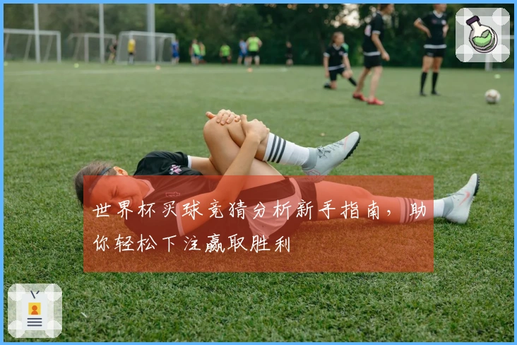世界杯买球竞猜分析新手指南，助你轻松下注赢取胜利