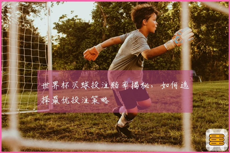 世界杯买球投注赔率揭秘，如何选择最优投注策略