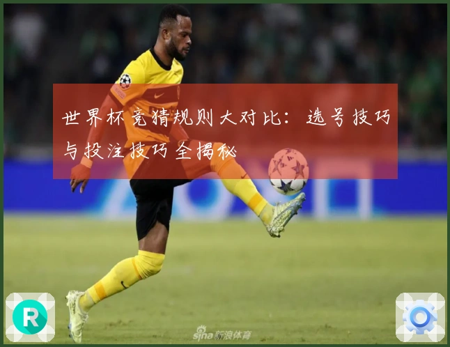世界杯竞猜规则大对比：选号技巧与投注技巧全揭秘