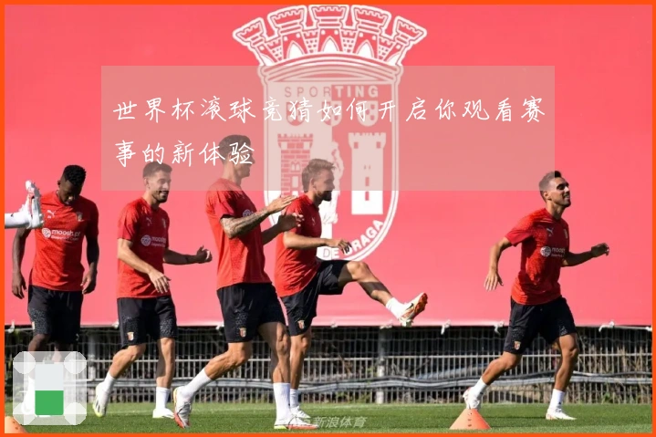 世界杯滚球竞猜如何开启你观看赛事的新体验