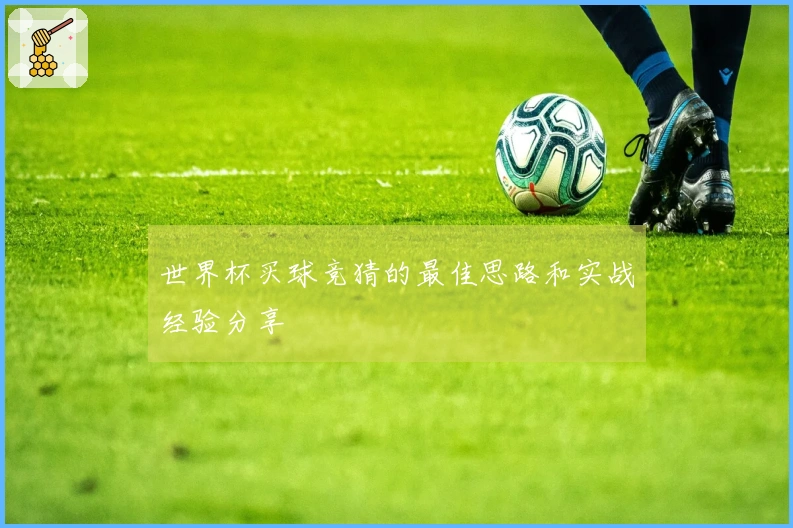 世界杯买球竞猜的最佳思路和实战经验分享