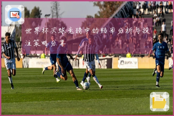 世界杯买球竞猜中的赔率分析与投注策略分享