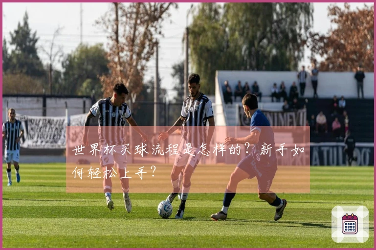 世界杯买球流程是怎样的？新手如何轻松上手？
