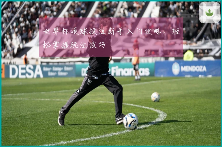 世界杯滚球投注新手入门攻略,轻松掌握玩法技巧